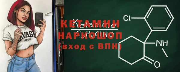 амф Снежногорск