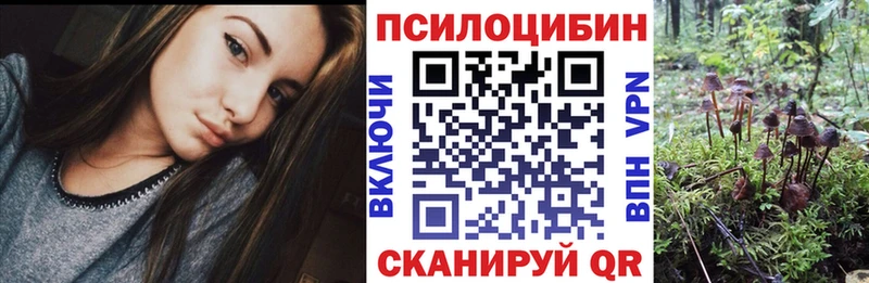 Псилоцибиновые грибы ЛСД  дарнет шоп  МЕГА рабочий сайт  Северобайкальск 