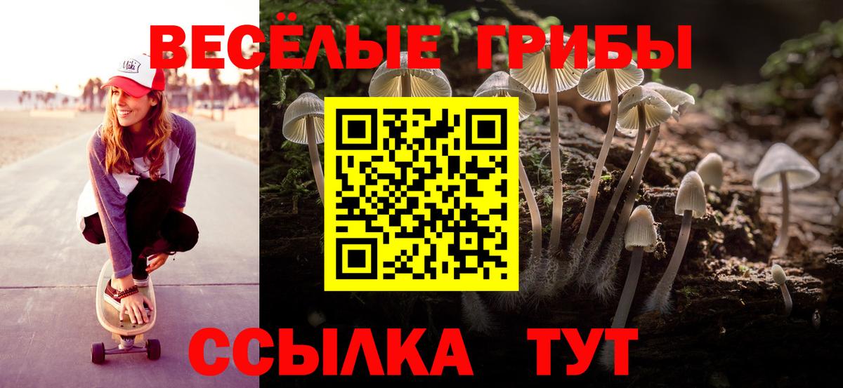 Галлюциногенные грибы Psilocybine cubensis  Вход с VPN  Северобайкальск 